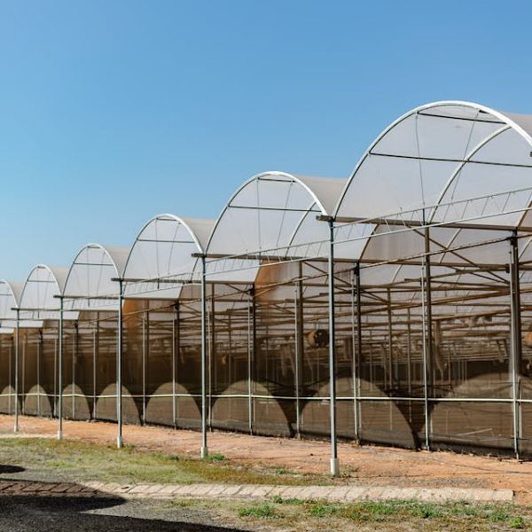 Greenhouses